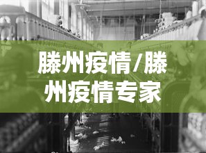 滕州疫情/滕州疫情专家