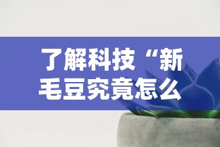 了解科技“新毛豆究竟怎么开挂其实可以装挂