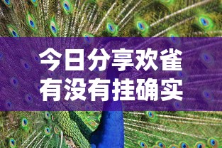 今日分享欢雀有没有挂确实真的有挂