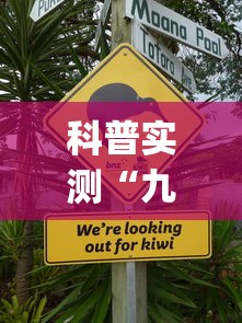 科普实测“九九牌游十三水有没有挂呢”(其实有挂)