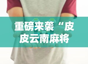 重磅来袭“皮皮云南麻将有没有辅助”详细分享步骤