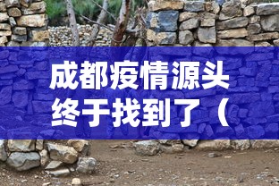 成都疫情源头终于找到了（成都疫情源头在哪儿）