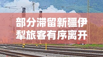 今日科技“五福长牌可以开挂吗”确实真的有挂