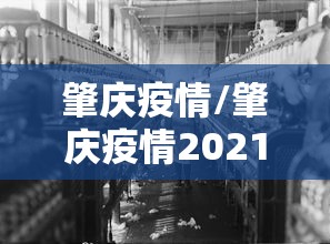 肇庆疫情/肇庆疫情2021 肇庆疫情/肇庆疫情2021