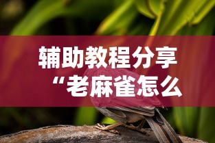 今日重大消息“美杜莎 是不是有挂其实可以装挂