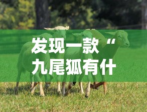 发现一款“美杜莎 有什么挂	”开挂神器