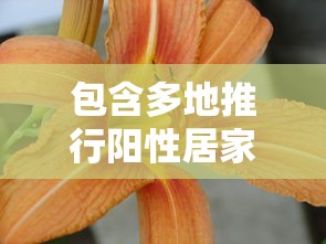 包含多地推行阳性居家十字花隔离的词条 包含多地推行阳性居家十字花隔离的词条