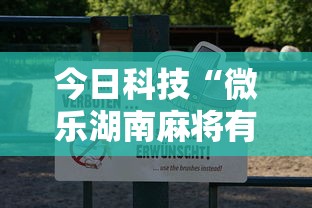 今日科技“微乐湖南麻将有没有辅助”真可以装挂