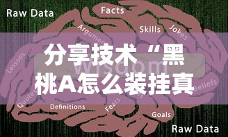 分享技术“黑桃A怎么装挂真可以装挂