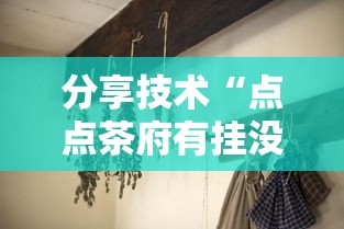 分享技术“点点茶府有挂没”详细开挂玩法