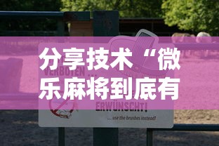 分享技术“微乐麻将到底有透视吗 	”原来可以开挂