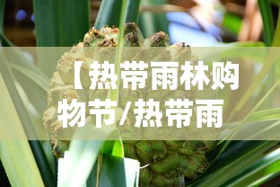 【热带雨林购物节/热带雨林购物中心】