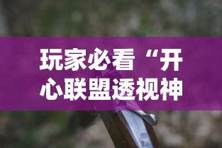 玩家必看“开心联盟透视神器”玩家必备神器