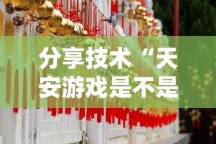 科普实测“新豪派挂怎么卖”详细开挂