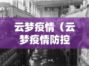 云梦疫情（云梦疫情防控指挥部杨红成）