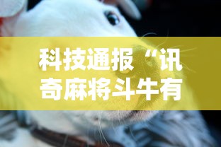 科技通报“讯奇麻将斗牛有透视挂吗”确实真的有挂