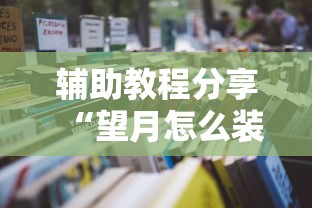 辅助教程分享“望月怎么装挂”详细辅助