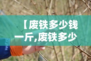 【废铁多少钱一斤,废铁多少钱一斤最新价格】 【废铁多少钱一斤,废铁多少钱一斤最新价格】