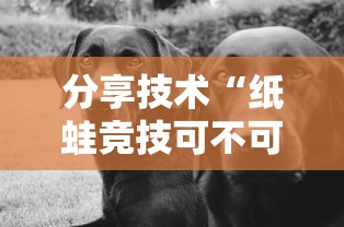 分享技术“纸蛙竞技可不可以用起手好牌挂	”解密透视猫腻