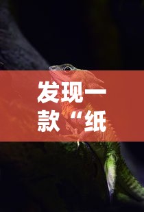 发现一款“纸蛙竞技怎么用挂”真的有挂