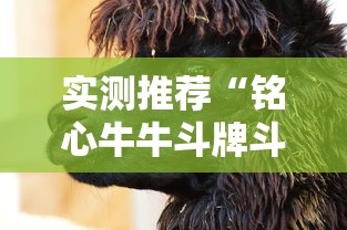 实测推荐“铭心牛牛斗牌斗牛中心有挂吗	”原来真有挂