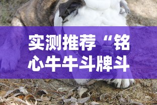 实测推荐“铭心牛牛斗牌斗牛中心有挂吗”原来真有挂