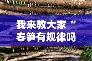 我来教大家“春笋有规律吗”其实是有挂