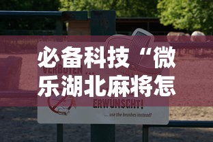 必备科技“微乐湖北麻将怎么辅助 ”详细开挂教程