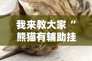 我来教大家“熊猫有辅助挂吗”真可以装挂