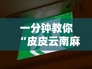 一分钟教你“皮皮云南麻将辅助工具”详细开挂方法