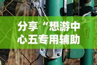 分享“想游中心五专用辅助器”详细开挂教程