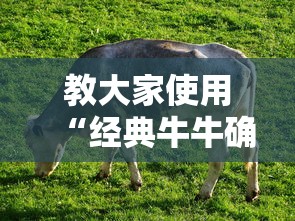 科普一下“熊猫有挂吗的确有挂”开挂必胜方法