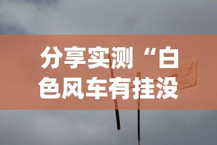 分享实测“白色风车有挂没”(其实有挂)