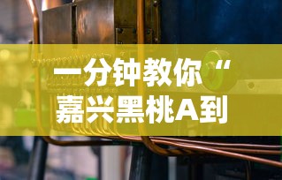 一分钟教你“嘉兴黑桃A到底有没有开挂器”详细开挂步骤