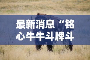 最新消息“铭心牛牛斗牌斗牛中心到底怎么开挂”其实确实有挂