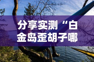 分享实测“白金岛歪胡子哪里有透视挂”事实上确实有挂
