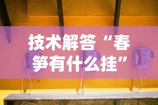 技术解答“春笋有什么挂”分享详细开挂教程