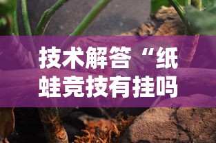 技术解答“纸蛙竞技有挂吗果然有挂”详细分享步骤