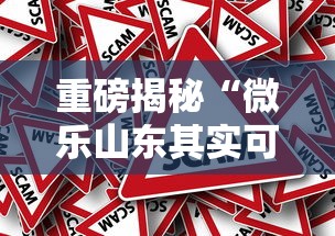 重磅揭秘“微乐山东其实可以开挂”原来真的有挂