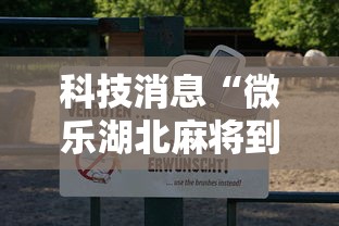 科技消息“微乐湖北麻将到底怎么用辅助其实可以装挂 科技消息“微乐湖北麻将到底怎么用辅助其实可以装挂