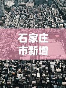 重大资讯“820麻将馆有挂吗专用神器”详细辅助