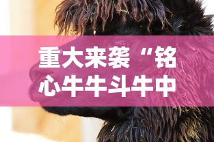 重磅通报“致祥可不可以用开挂”事实上真的有挂