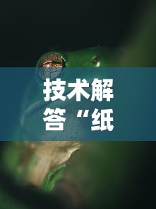 技术解答“纸蛙竞技可不可以开辅助挂	”揭秘曝光猫腻