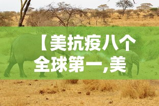 【美抗疫八个全球第一,美国全民抗疫】 【美抗疫八个全球第一,美国全民抗疫】