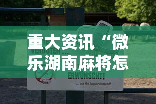 重大资讯“微乐湖南麻将怎么辅助 ”真的有挂