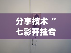 分享技术“七彩开挂专用辅助器(原来确实是有挂)