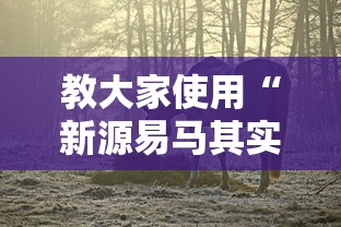 教大家使用“新源易马其实可以开挂吗事实上确实有挂 教大家使用“新源易马其实可以开挂吗事实上确实有挂