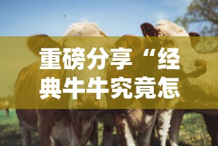 重磅分享“经典牛牛究竟怎么开挂	”原来可以开挂