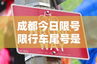 重大发现“微乐填大坑透视神器”原来有挂