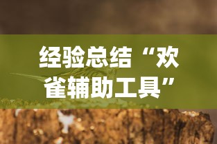经验总结“欢雀辅助工具”(其实有挂)